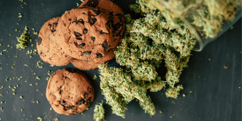 Chocolate Chip Cookie Edible With Marijuana Flower Buds